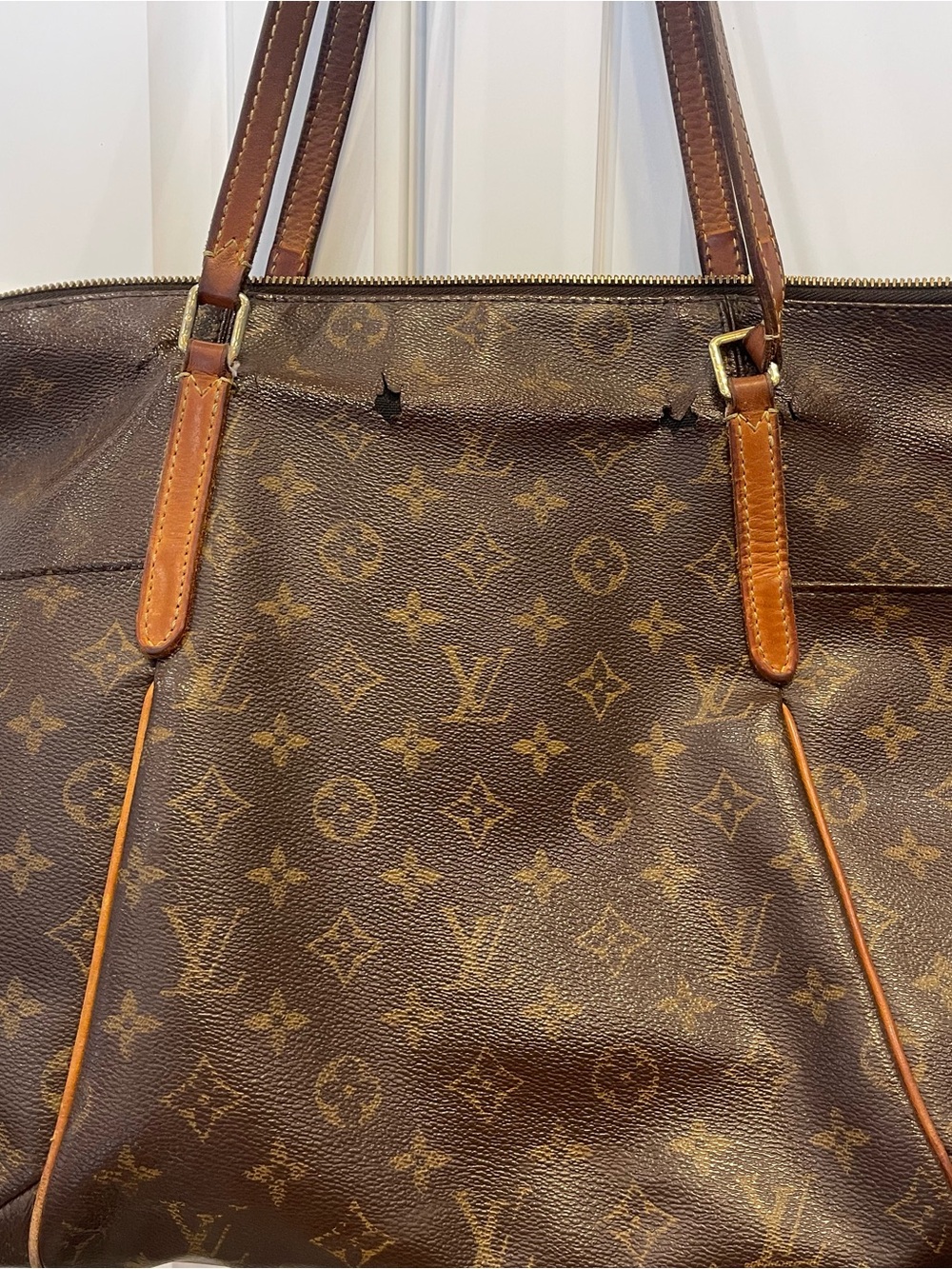 Louis Vuitton Monogram Canvas Tote in Brown and Tan
